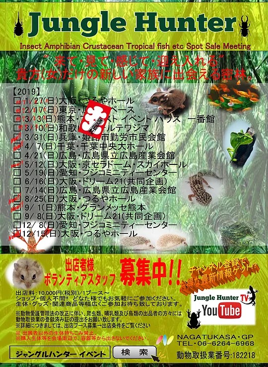 junglehunter - 爬虫類イベント2019年版