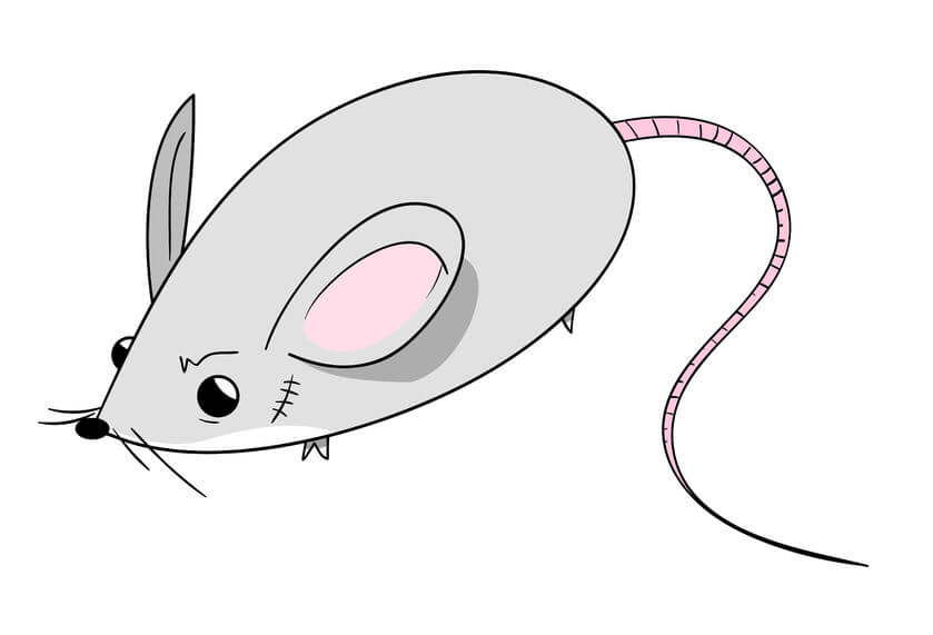 マウス - 給餌の際の注意点
