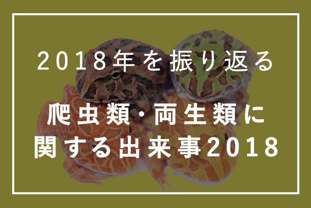 図鑑 爬虫類飼育者にオススメの図鑑一覧