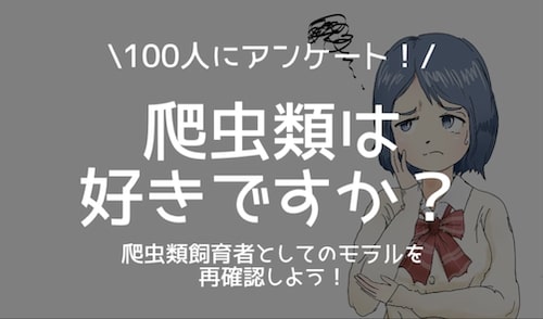 【非飼育者100人にアンケート】爬虫類に対する意識調査結果と飼育者が注意すること