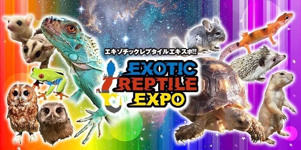 exotic-reptile-expoo - 【主催者に聞いてみた】エキゾチックレプタイルエキスポってどんなイベント？！