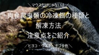 爬虫類の餌はどこが一番安い？各種入手方法の特徴とお得な購入術を紹介 - 爬虫類の餌はどこが一番安い？各種入手方法の特徴とお得な購入術を紹介